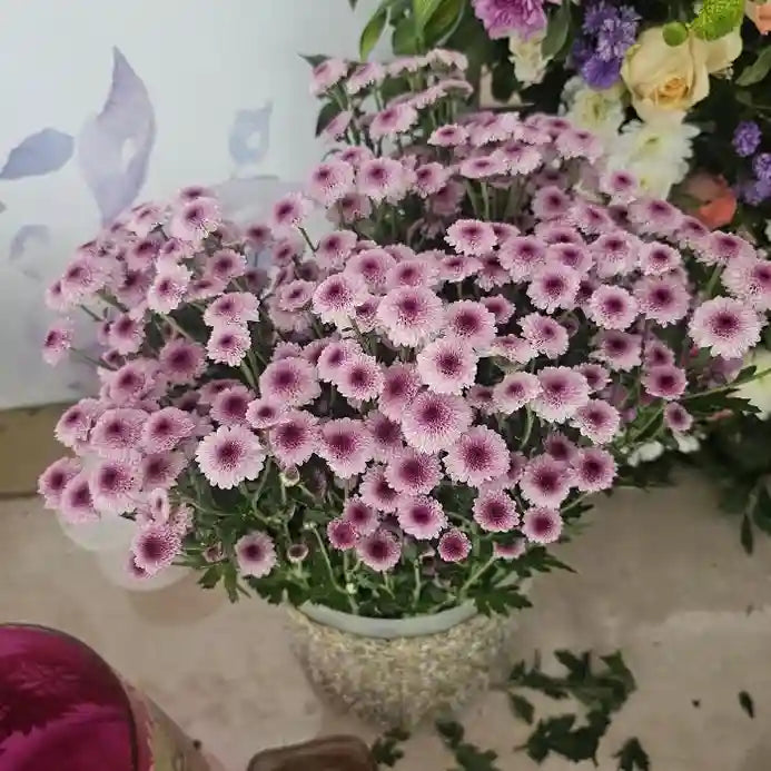 Enquire about custom welcome board with floral event decoration