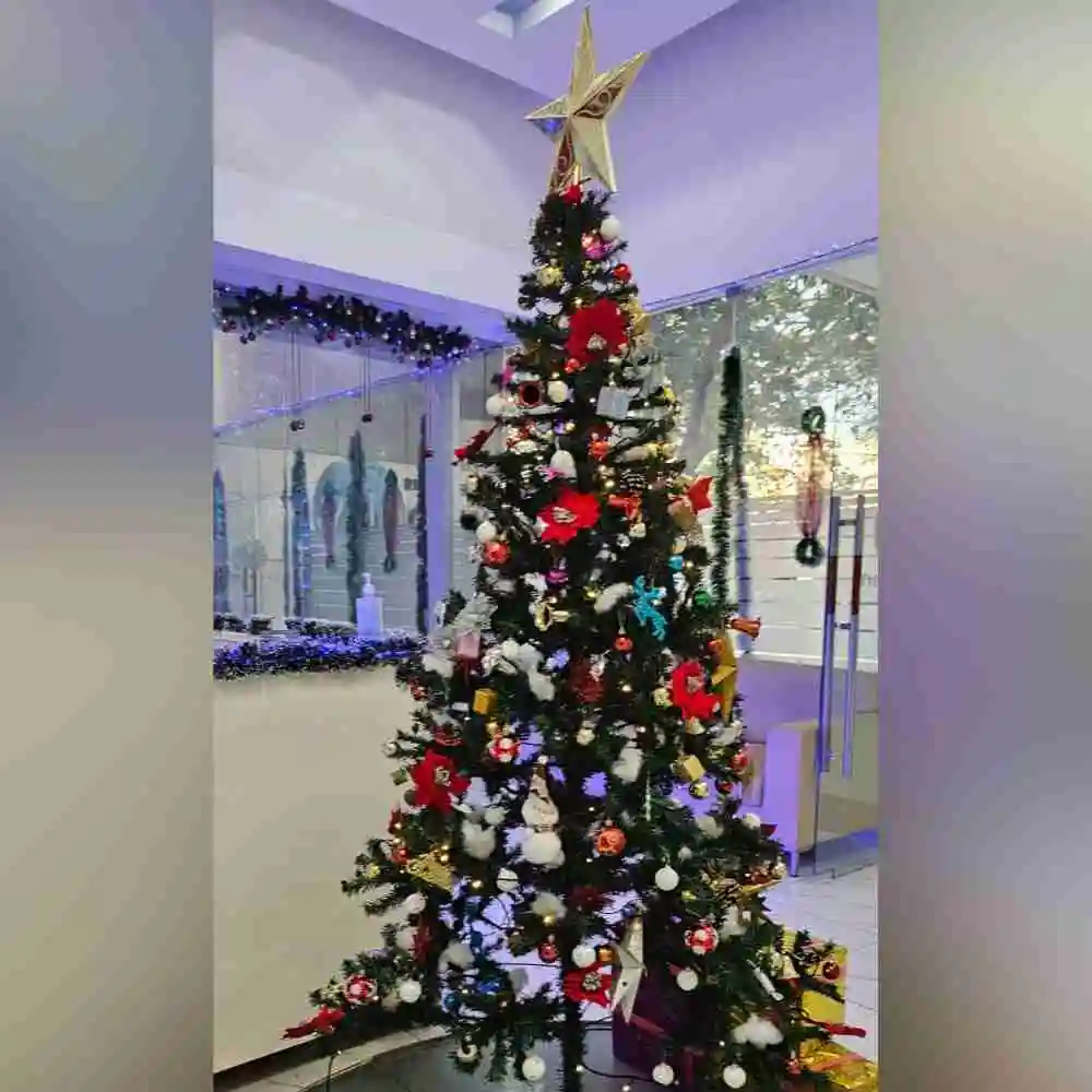 Premium Christmas decor service for office premises